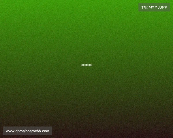 商学院戈壁赛规则