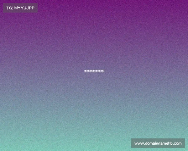 活动赛事承办—赛事活动程序